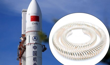 航空航天斜圈触指弹簧 航空航天斜圈触指弹簧