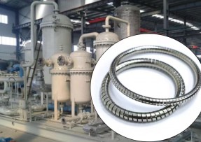 化工加工设备H型弹簧 化工加工设备H型弹簧